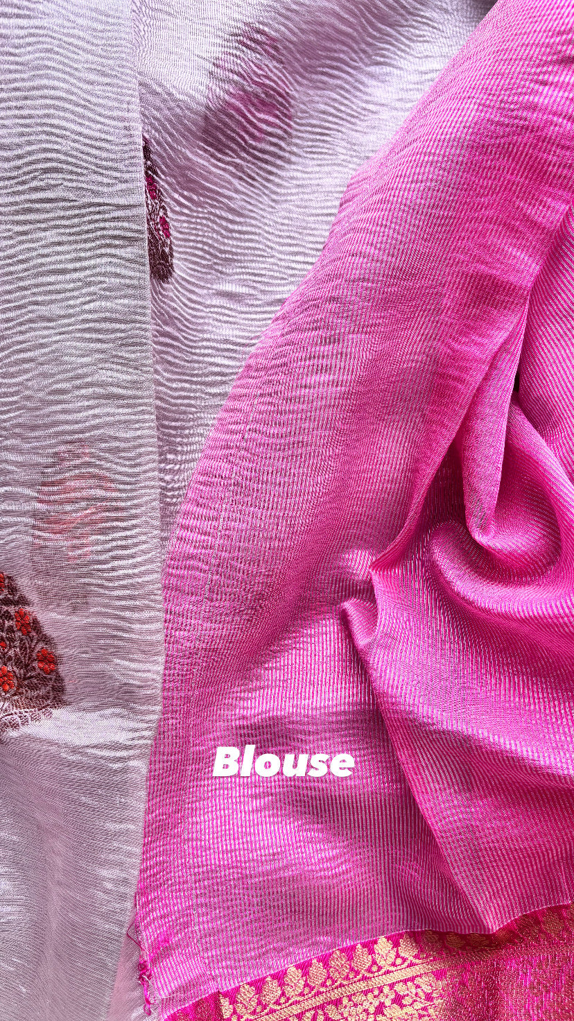 Beige Pastel tissue saree